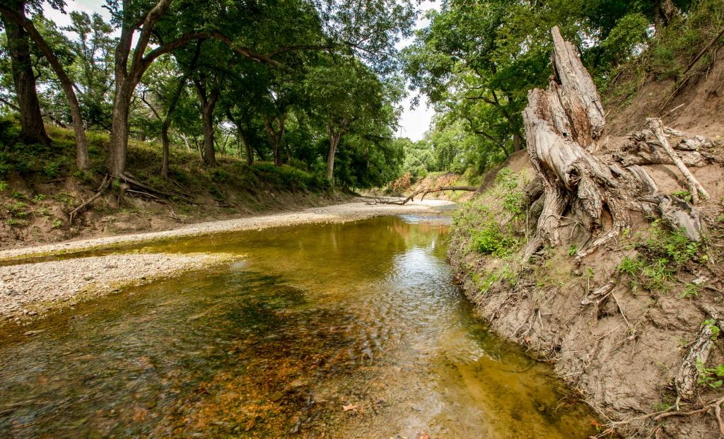 Procter P7 Lampasas River Ranch Chas S. Middleton